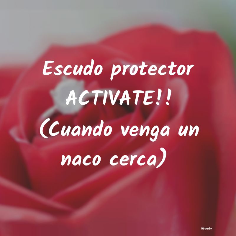 frases