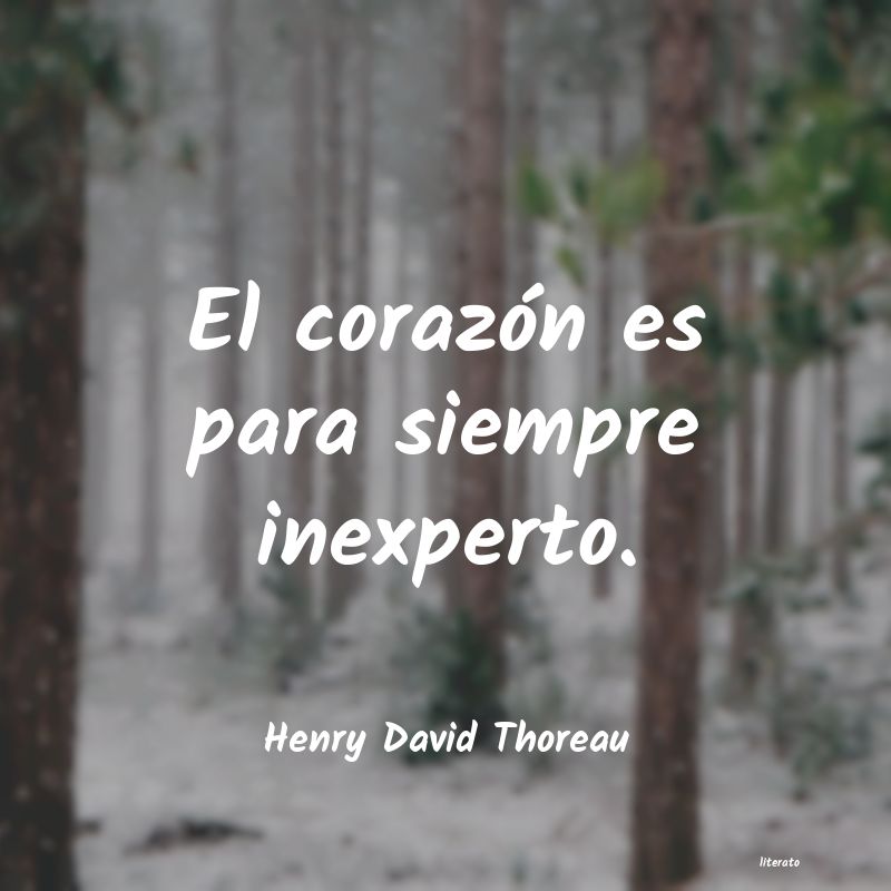 Frases de Henry David Thoreau