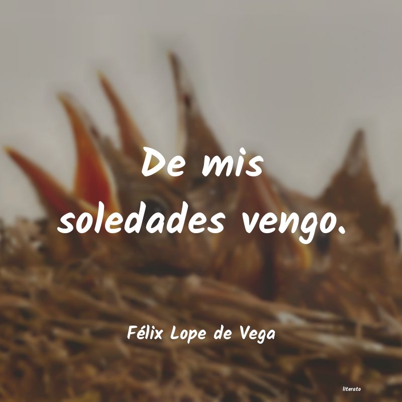 frases de Félix Lope de Vega