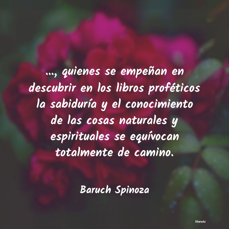 Frases de Baruch Spinoza