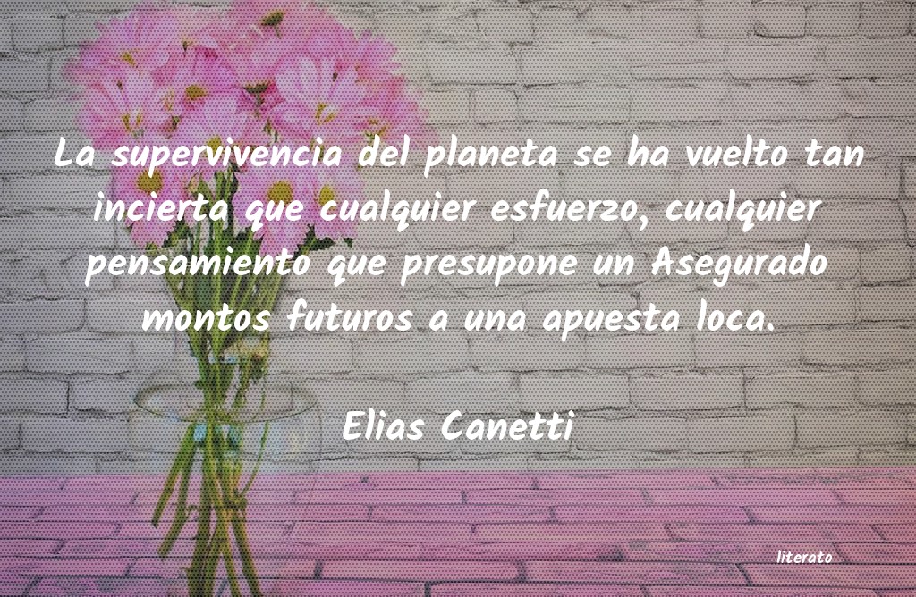 elias canetti conocimiento conocer mejor
