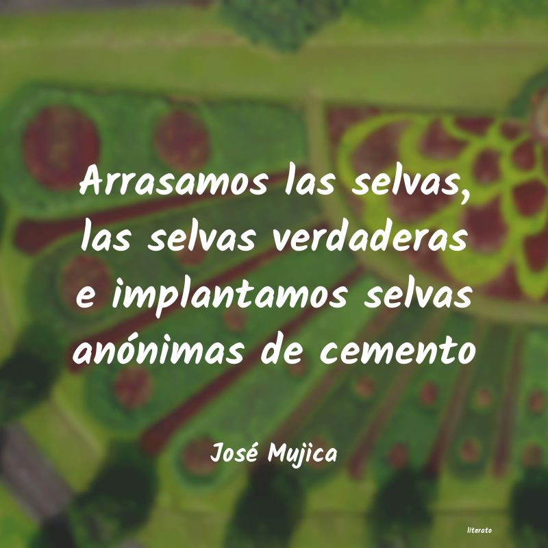 Frases de José Mujica