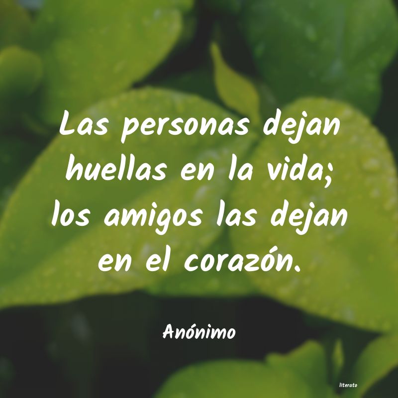 frases