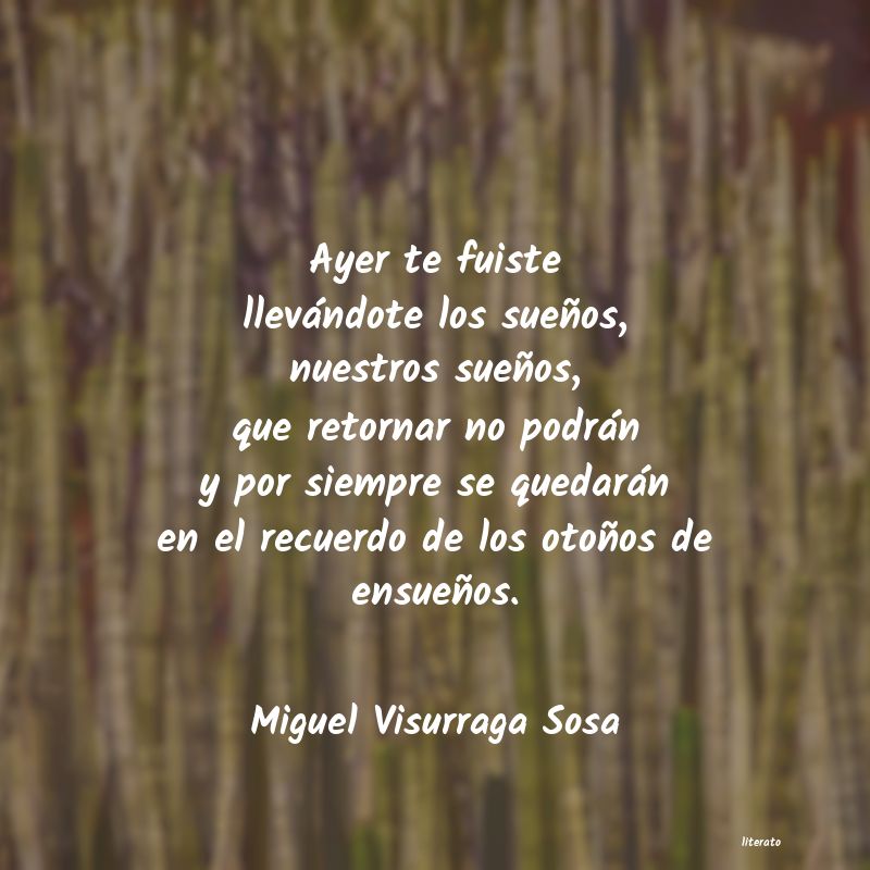 frases de Miguel Visurraga Sosa