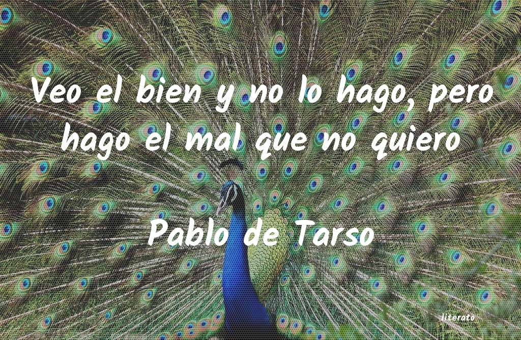 frases de Pablo de Tarso