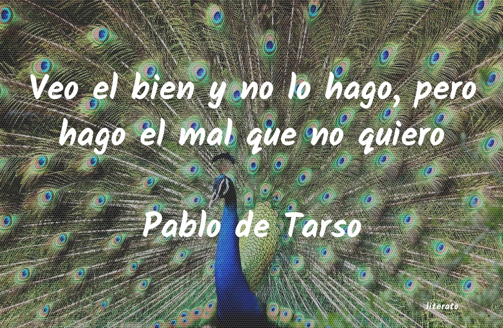 Frases de Pablo de Tarso