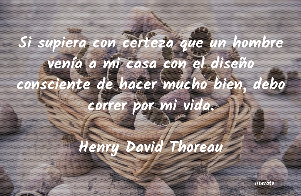 frases de Henry David Thoreau