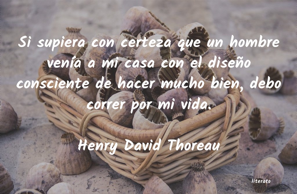 Frases de Henry David Thoreau