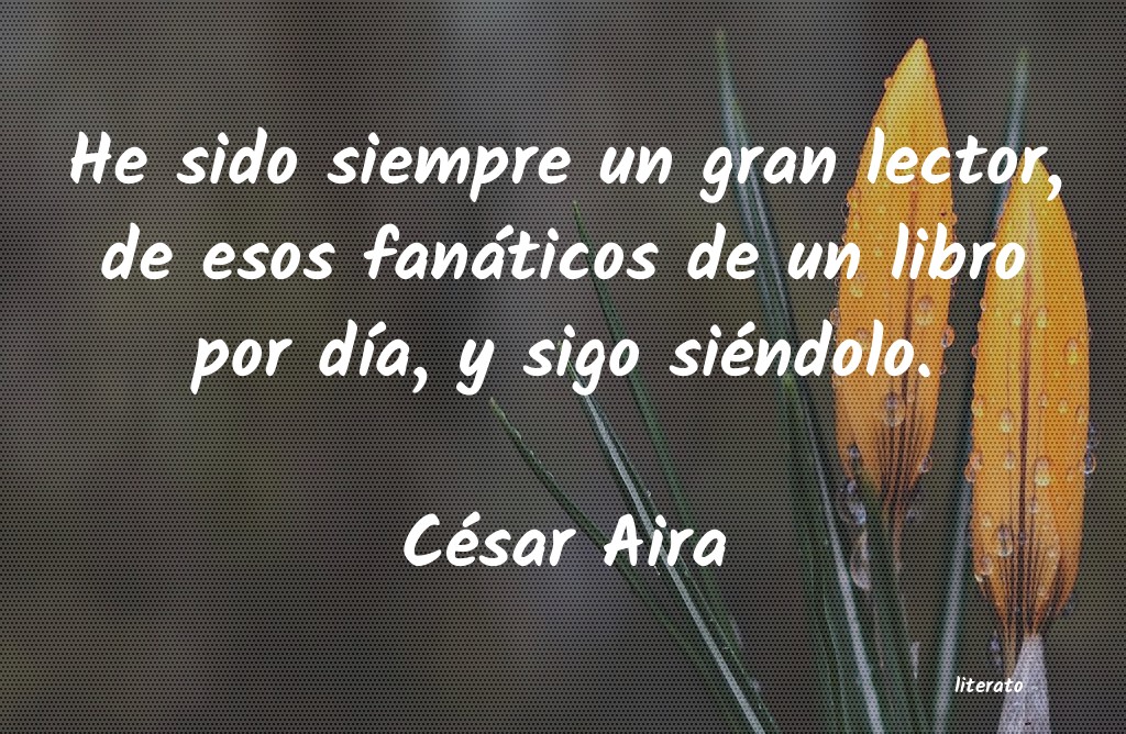 Frases de César Aira