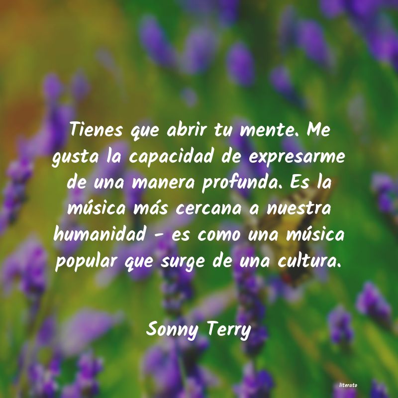Frases de Sonny Terry