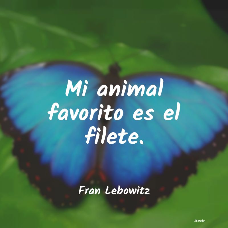 Frases de Fran Lebowitz