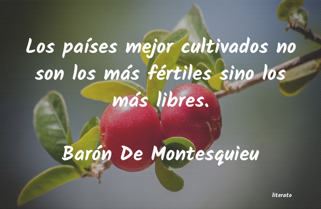 Frases de Barón De Montesquieu