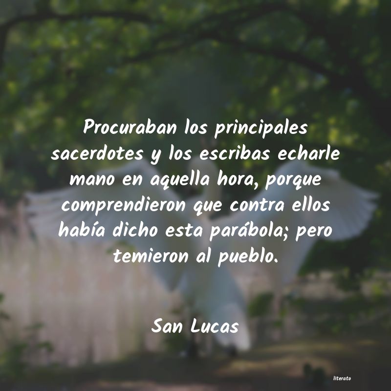 frases de San Lucas