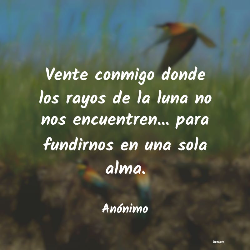 frases