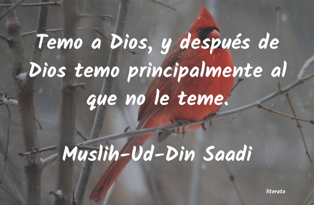 Frases de Muslih-Ud-Din Saadi