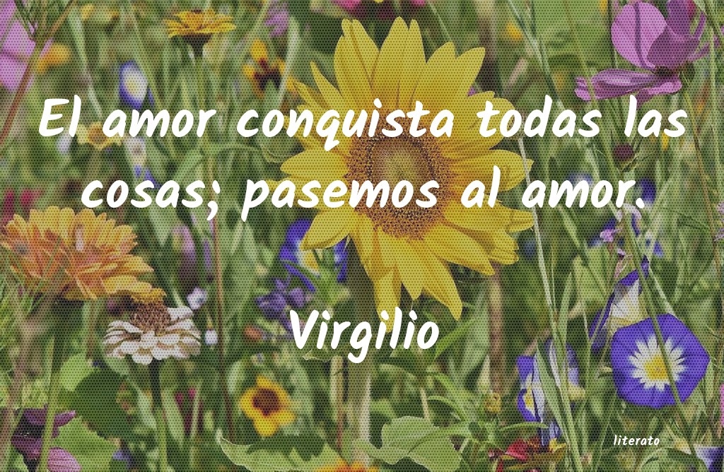 Frases de Virgilio