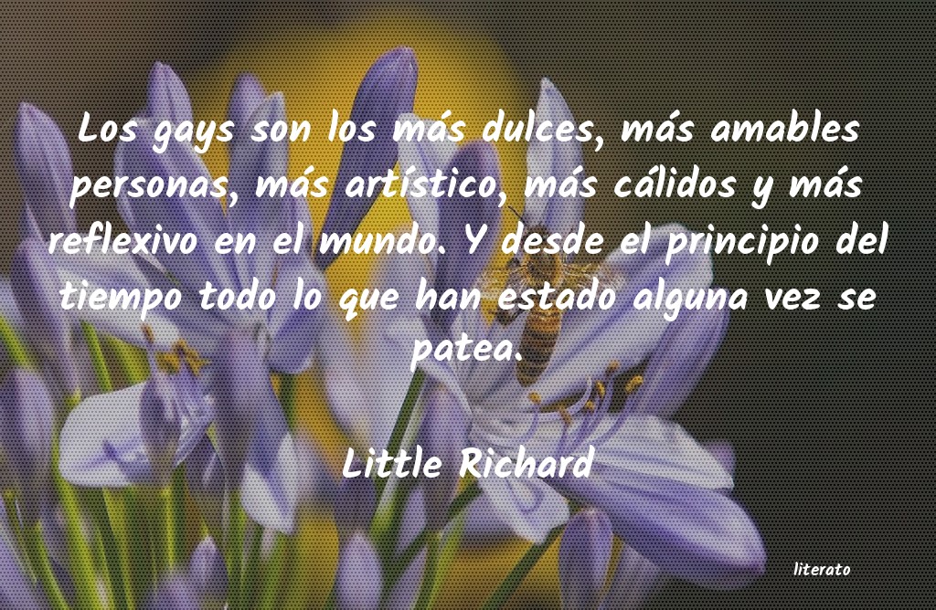 frases de Little Richard