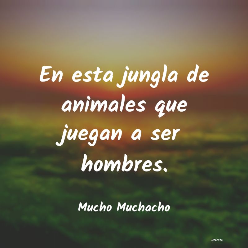 Frases de Mucho Muchacho