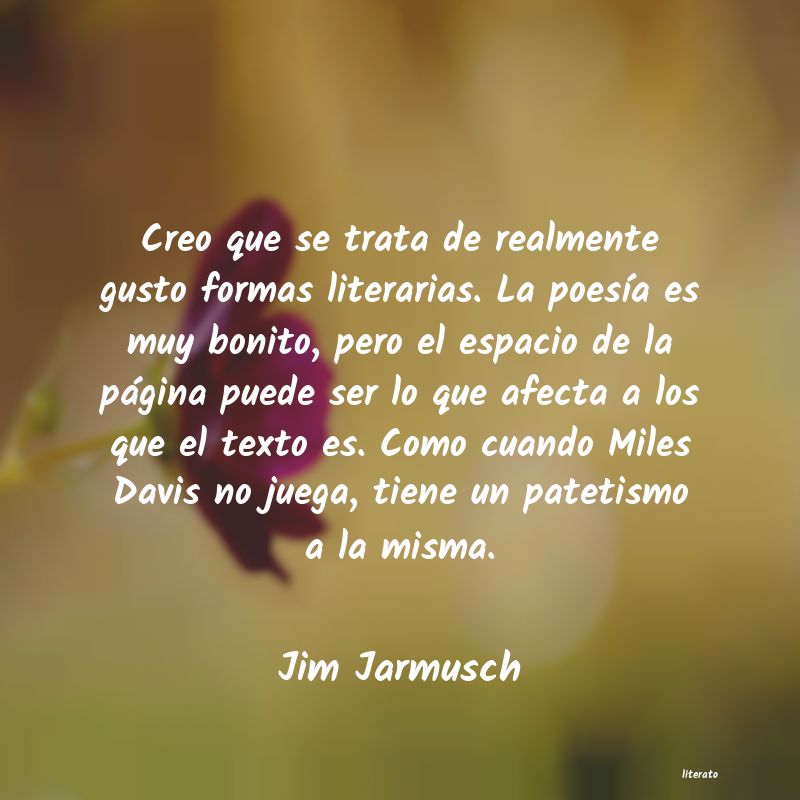 Frases de Jim Jarmusch