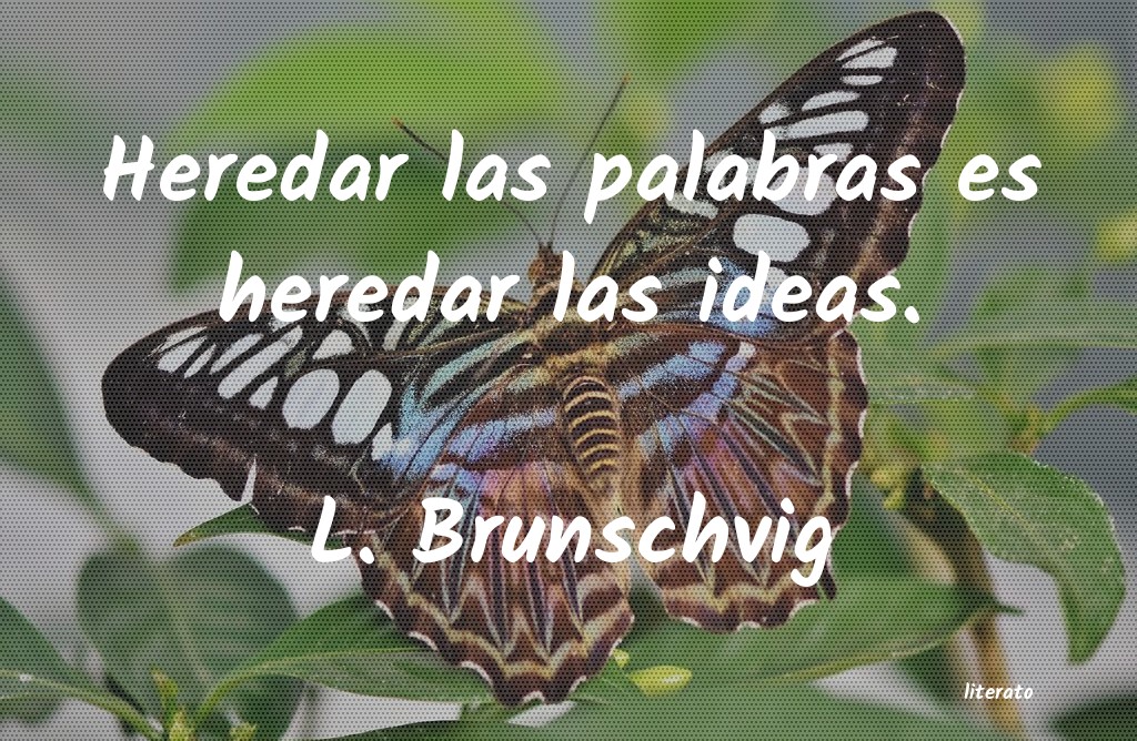 Frases de L. Brunschvig