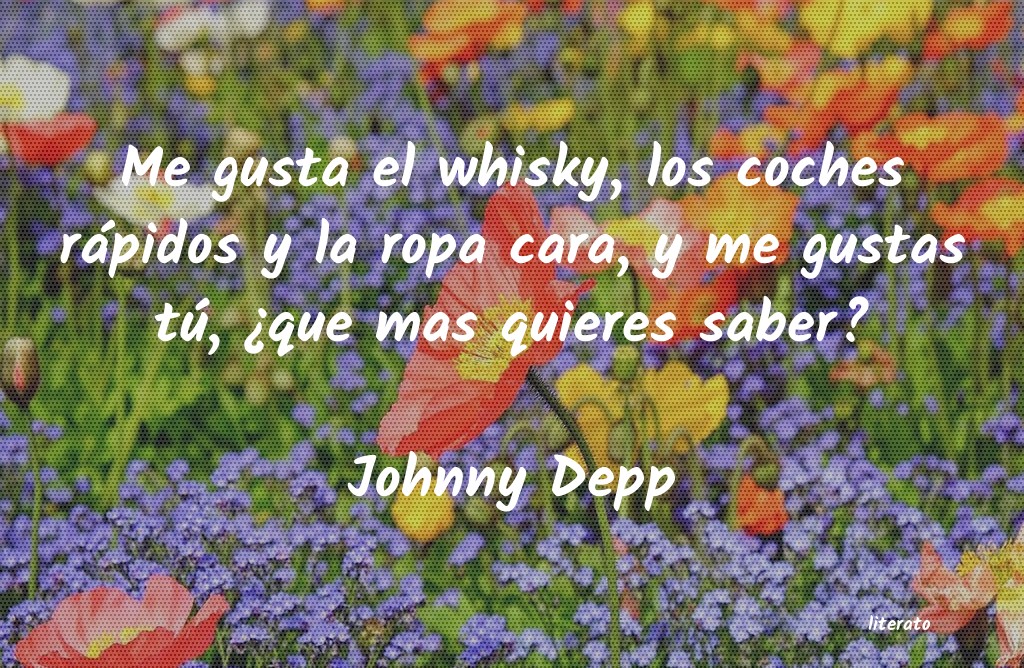 Frases de Johnny Depp