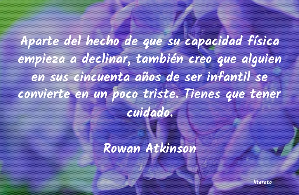 frases de Rowan Atkinson