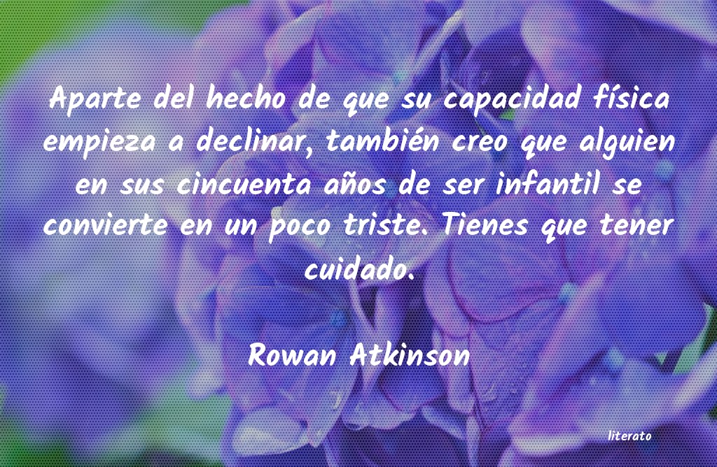 Frases de Rowan Atkinson