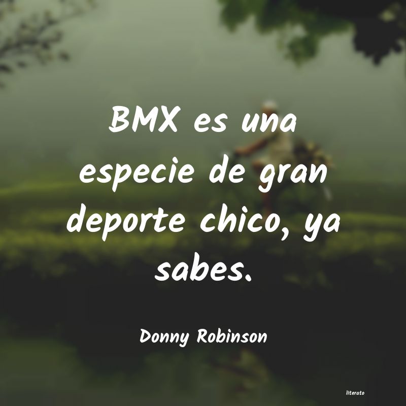 Frases de Donny Robinson