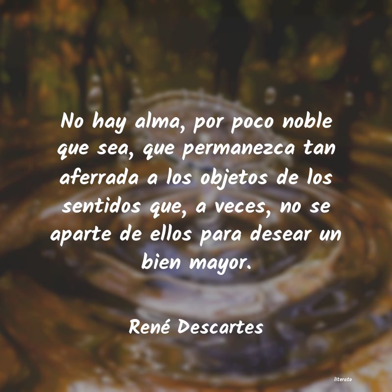 Frases de René Descartes