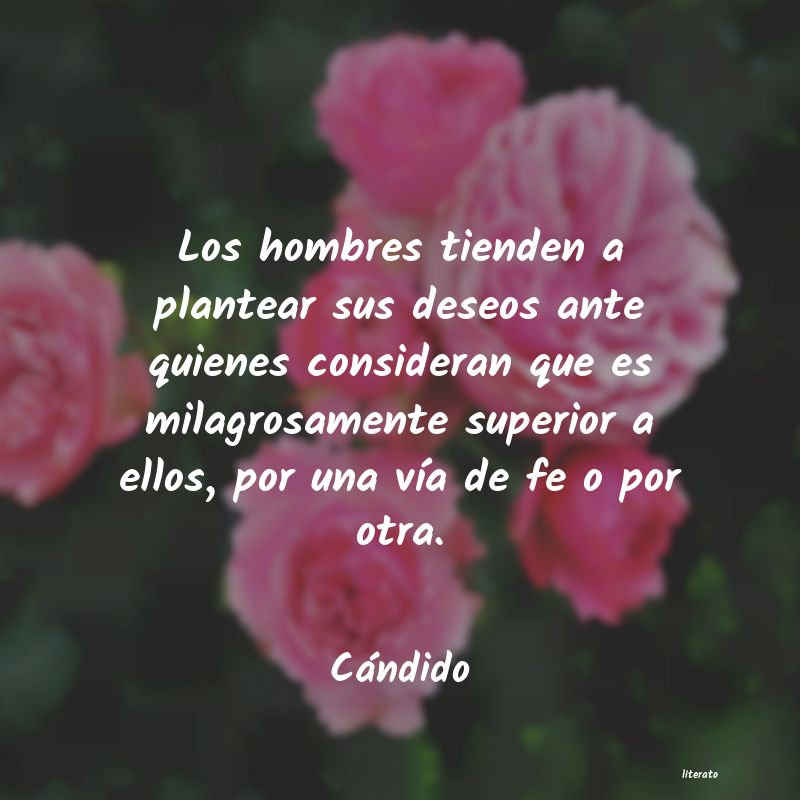 Frases de Cándido