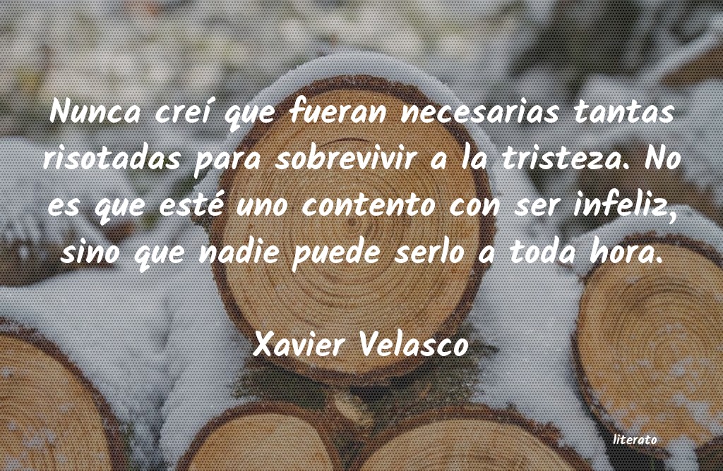 Frases de Xavier Velasco