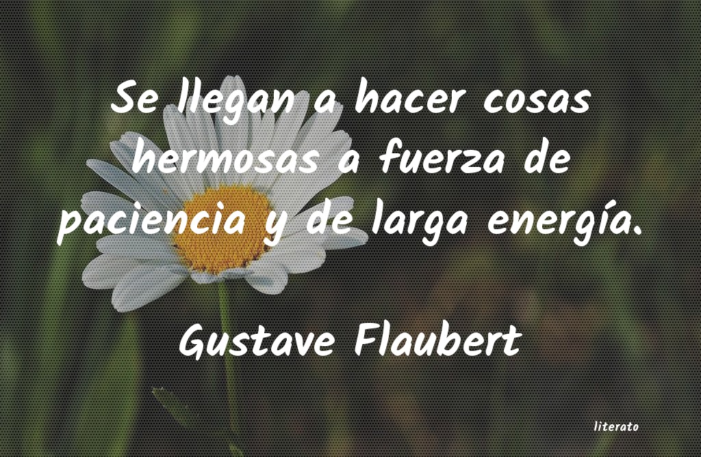 Frases de Gustave Flaubert