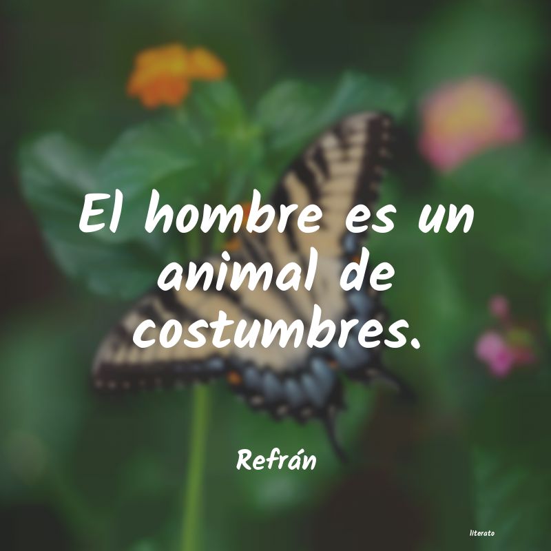 Frases de Refrán