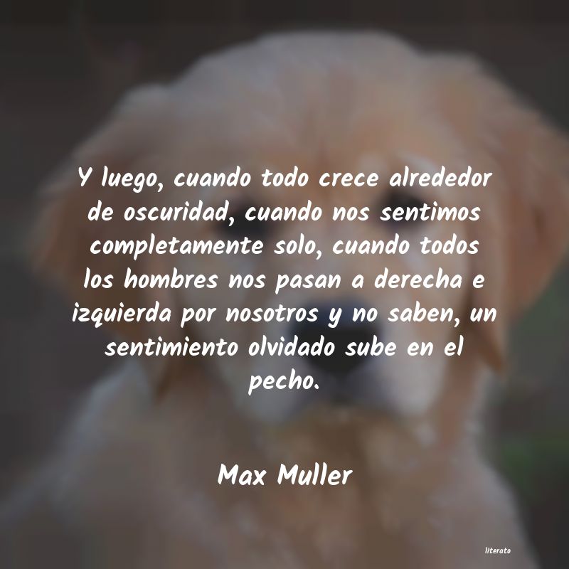 Frases de Max Muller