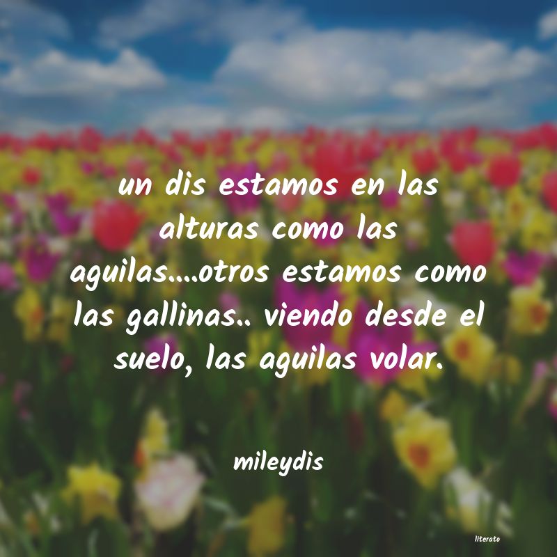 frases de mileydis