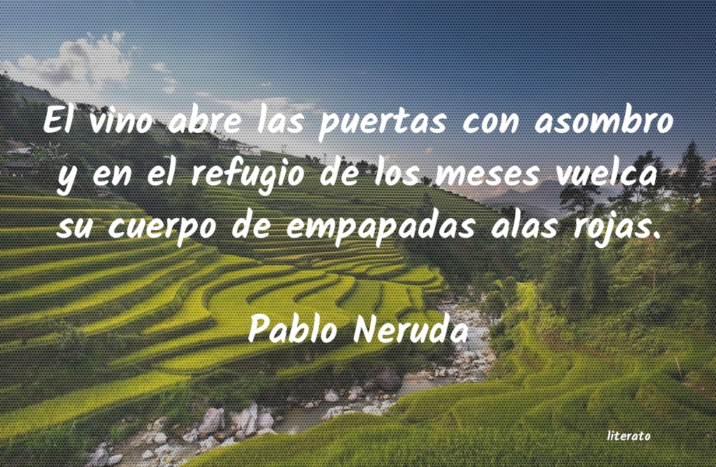 Frases de Pablo Neruda