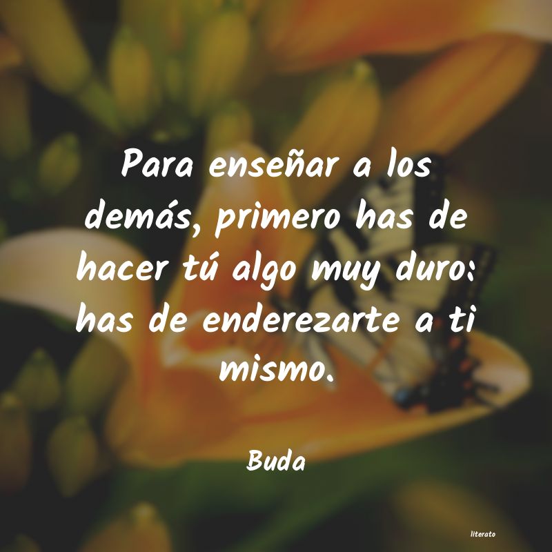 frases budistas cortas