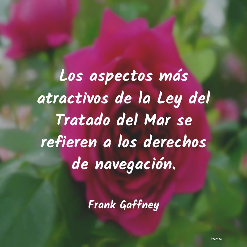 Frases de Frank Gaffney