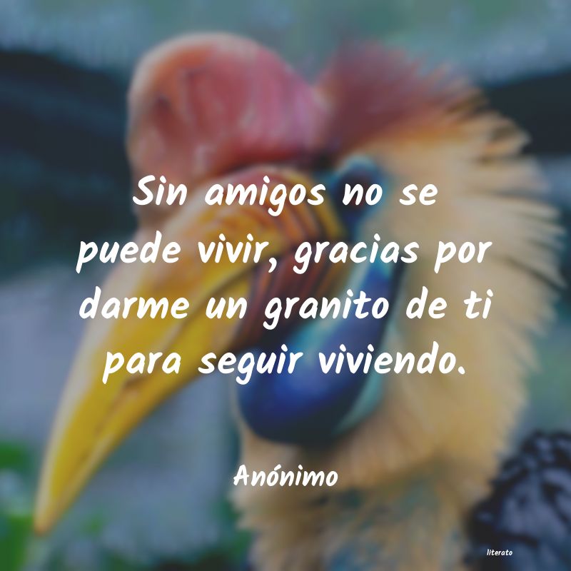 frases