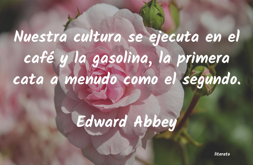 Frases de Edward Abbey