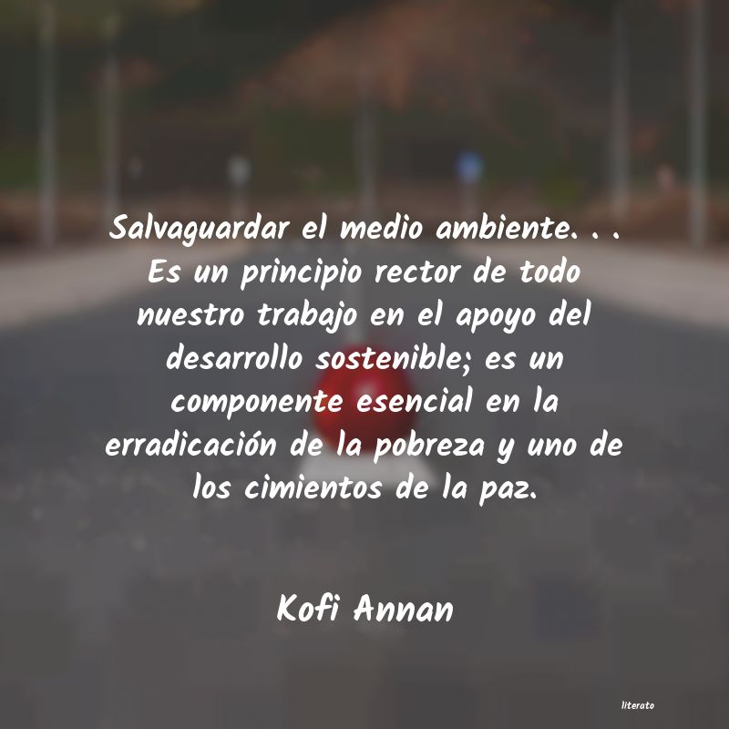 salvaguardar el medio ambiente kofi annan