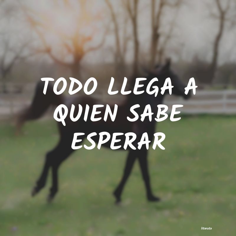 frases