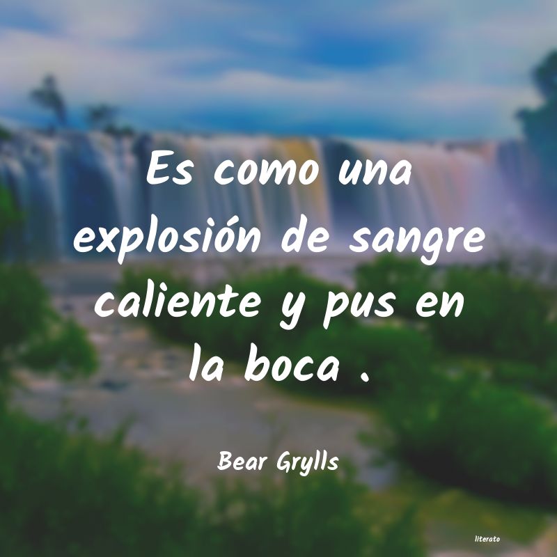 Frases de Bear Grylls