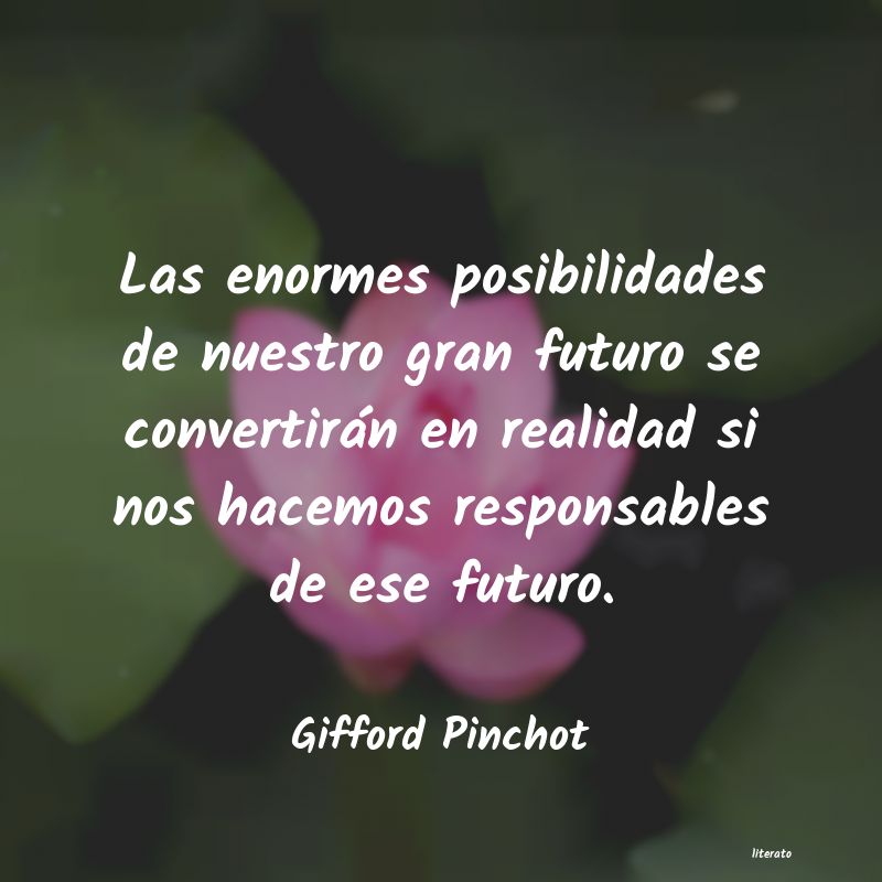 frases de Gifford Pinchot