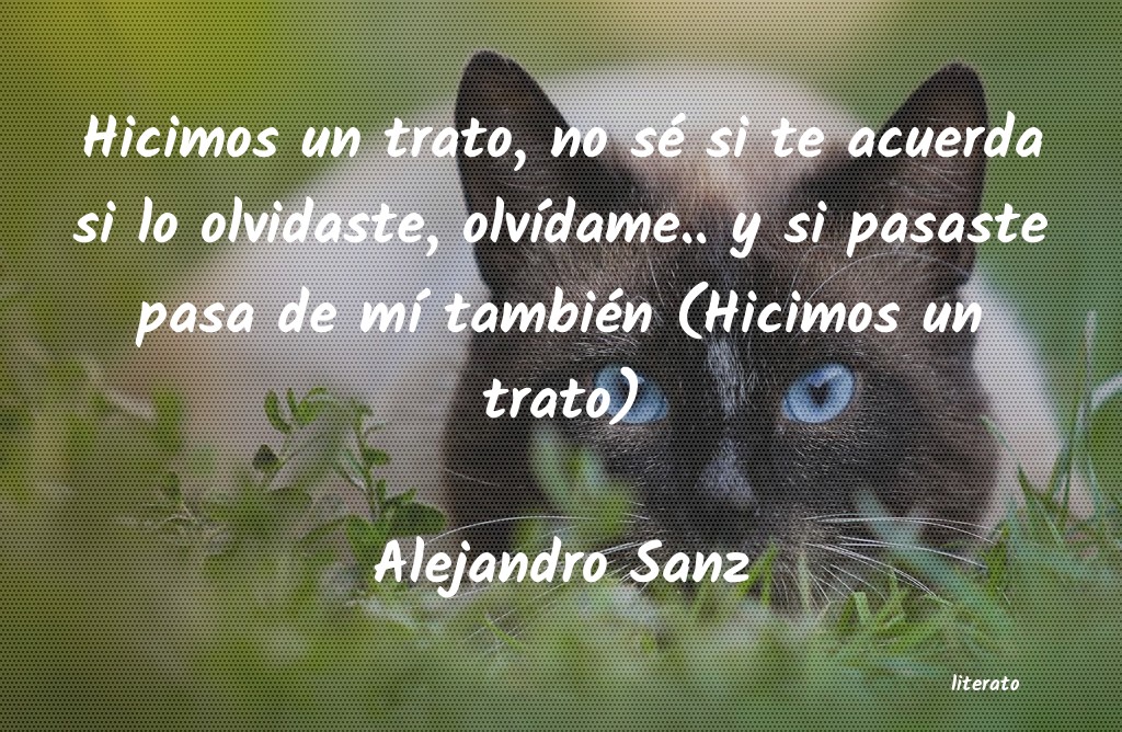 frases de Alejandro Sanz