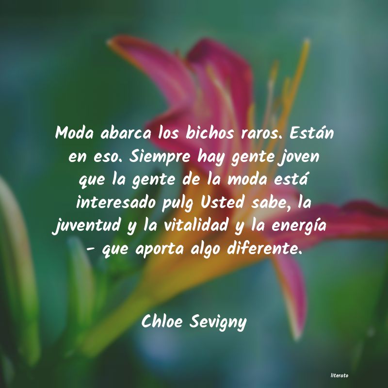 Frases de Chloe Sevigny