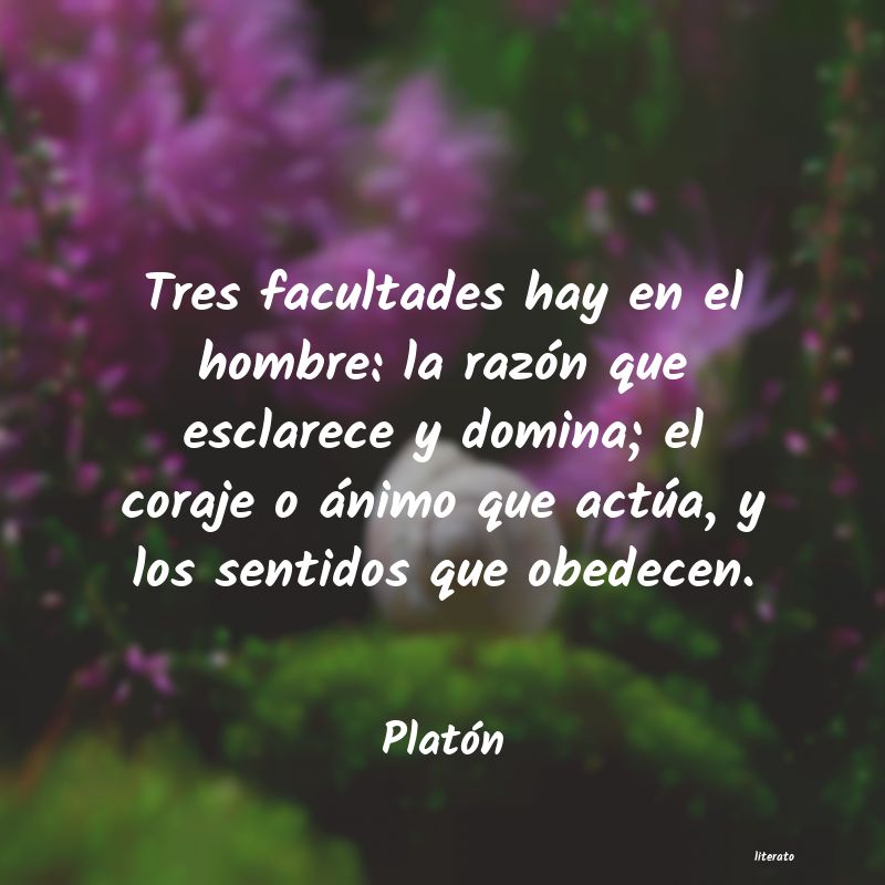 frases para levantar el animo a un enfermo