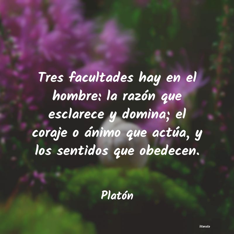 Frases de Platón