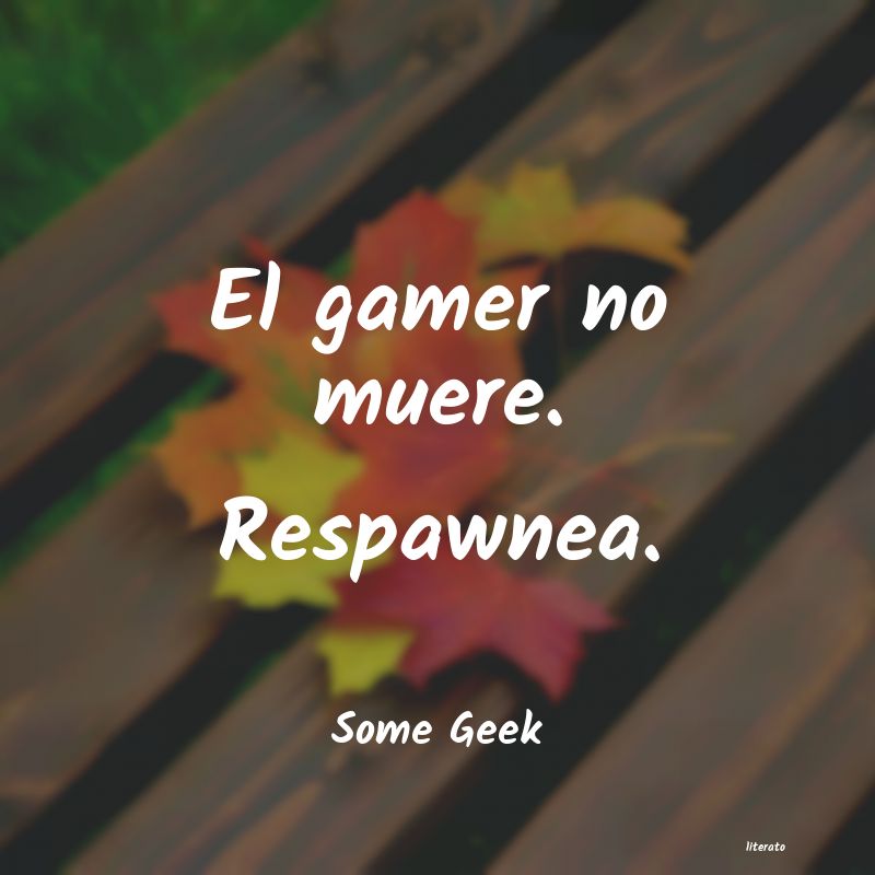 Frases de Some Geek