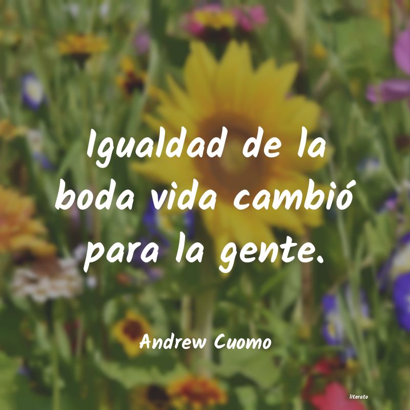 frases de Andrew Cuomo